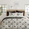 All Over Floral Printed 210Tc Cotton Queen size Bedsheet with 2 Pillow covers |by Home Collective