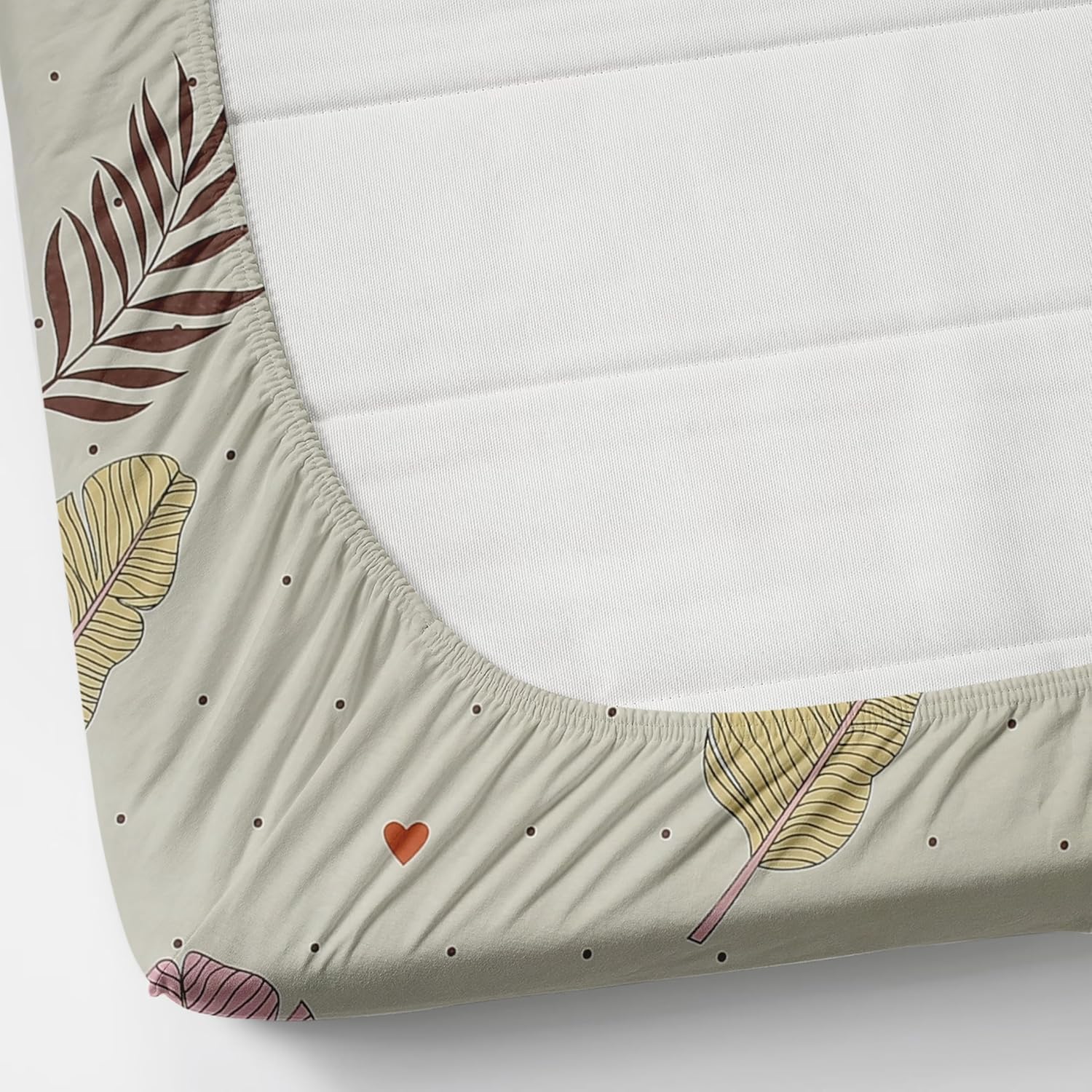 Magical Feathers Printed Cotton Elastic Fitted Cotton king size Bedsheets with Pillow covers|by Home Collective